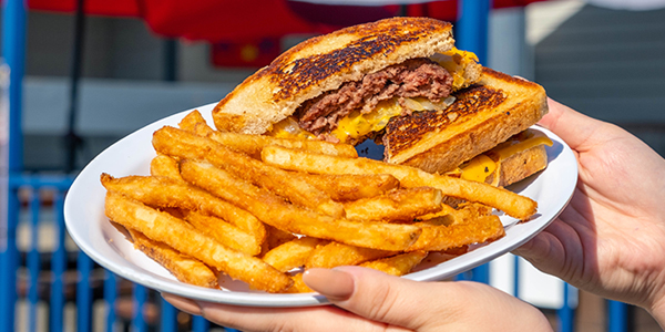 Grilled cheese sandwich with fries plate